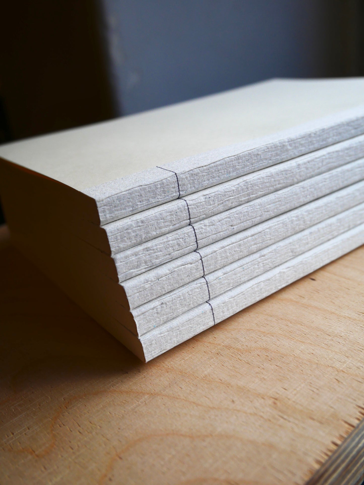 BOOK BLOCK | A5 | ruled