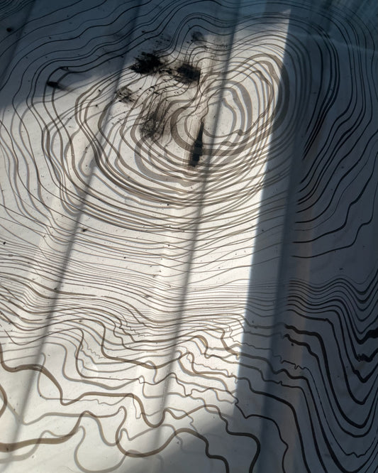 SUMINAGASHI | 21 februari