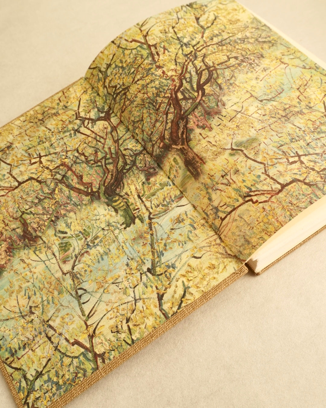 MEDIEVAL STRAPS | open spine blank notebook | A6