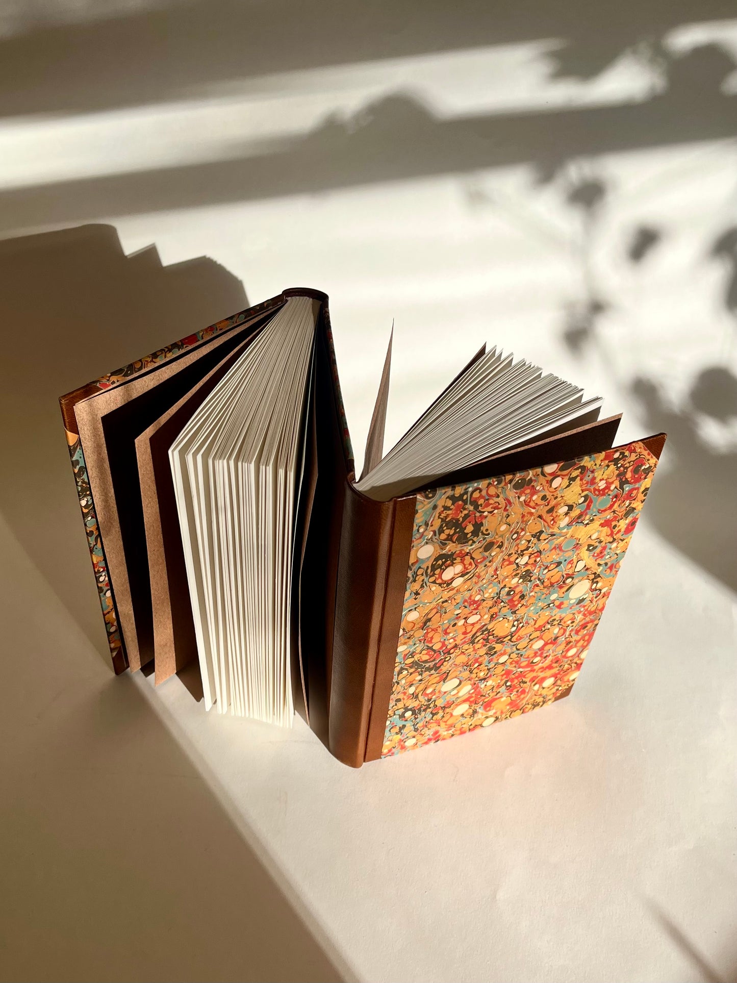 JANUS FACE BOOK | dos á dos binding | A6